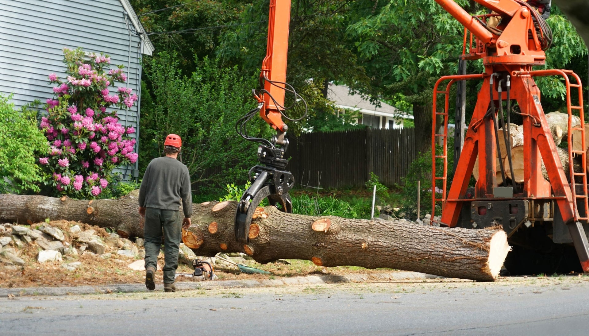 Local partner for Tree removal services in Loveland